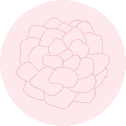 Chakra Balancing & Usui Reiki